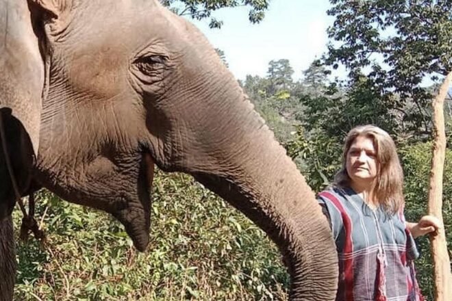 L’urgence d’agir en faveur des animaux