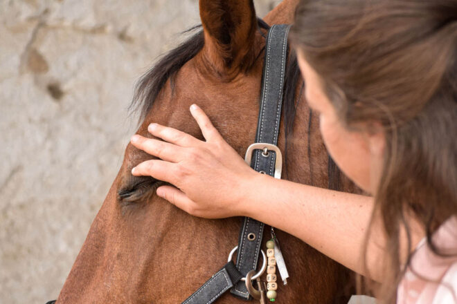 Préparons nos animaux aux soins quotidiens et médicaux, ils en ont tous besoin !