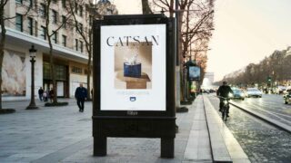 Comment un sac luxueux s’est transformé en bac à litière lors de la semaine la plus glamour de l’année à Paris ?