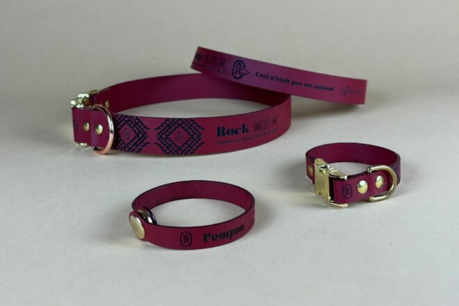 Ceci n’était pas un animal : maroquinerie végétale pour animaux et humains engagés