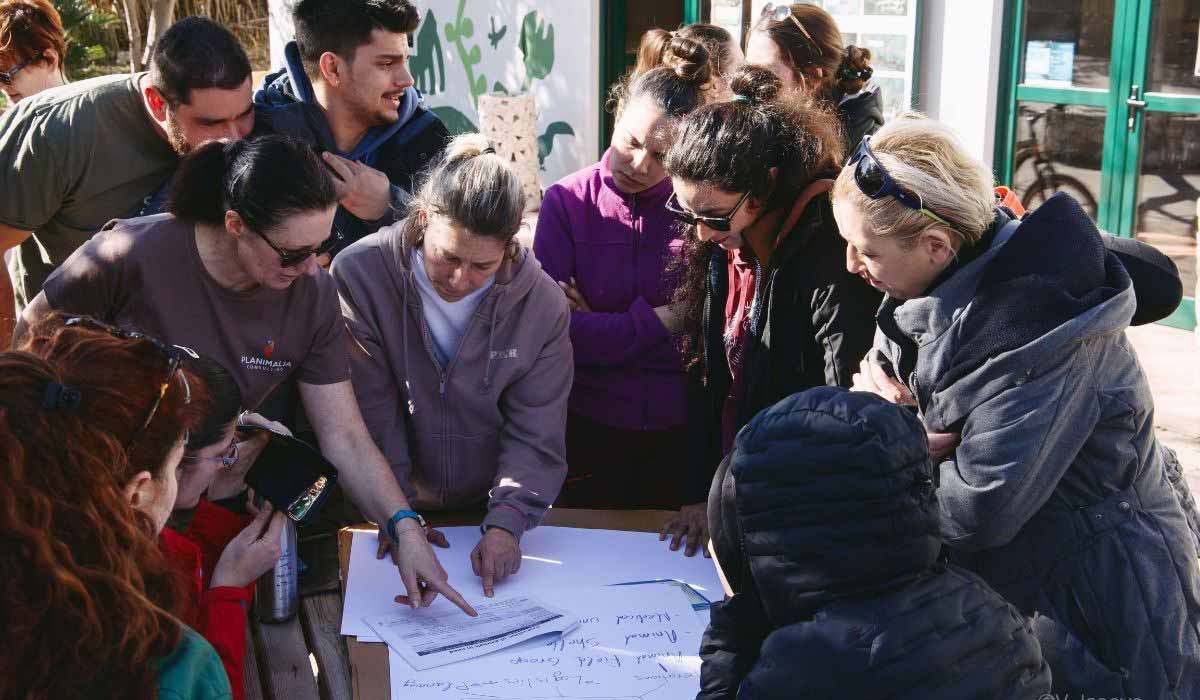 Incendies de cet été : il devient impératif pour les collectivités d’intégrer les animaux dans leurs plans de gestion des catastrophes Incendies de cet été : il devient impératif pour les collectivités d’intégrer les animaux dans leurs plans de gestion des catastrophes