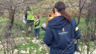L’approche inédite de Planimalia consulting pour intégrer les animaux dans les stratégies et pratiques de résilience face aux catastrophes