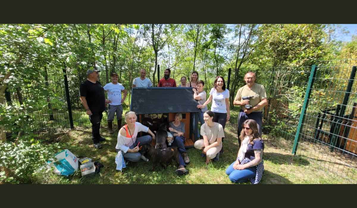 Un refuge pilote « cocooning » pour animaux maltraités voit le jour dans le Gers