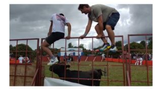 Maltraitance animale ou festivités ?