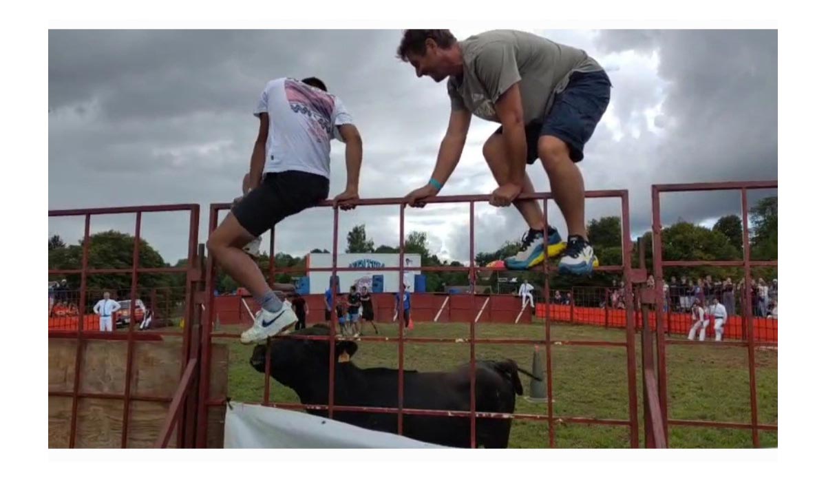 Maltraitance animale ou festivités ? Maltraitance animale ou festivités ?