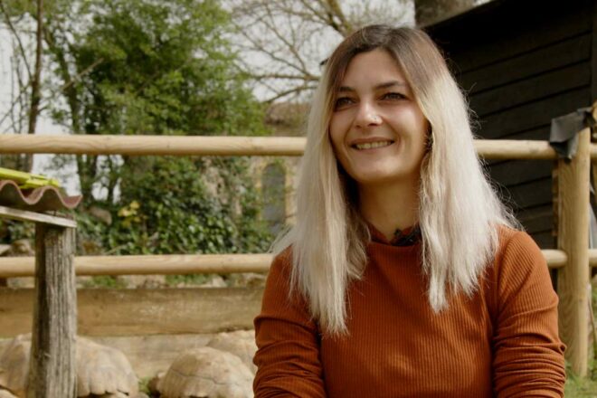 Toumaï chroniques animales : une vision différente des reptiles