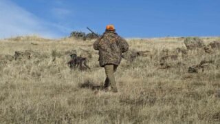 La chasse, une arme de pollution massive