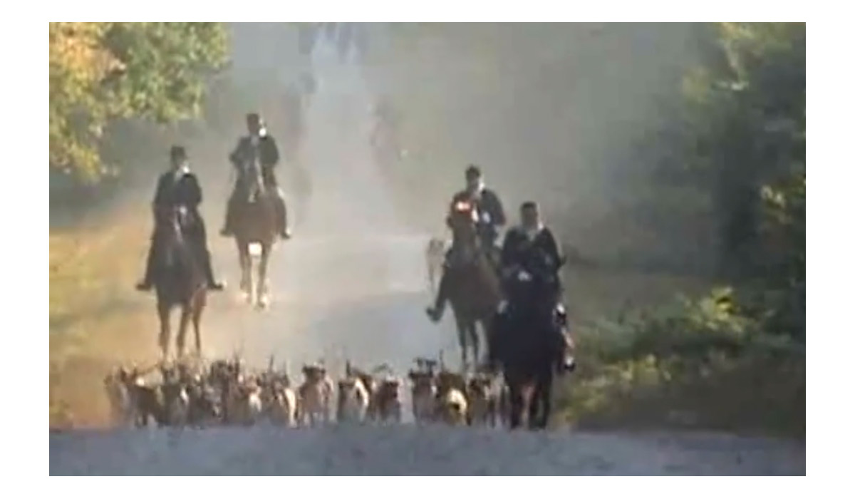 Les non-chasseurs face à la chasse à courre Les non-chasseurs face à la chasse à courre