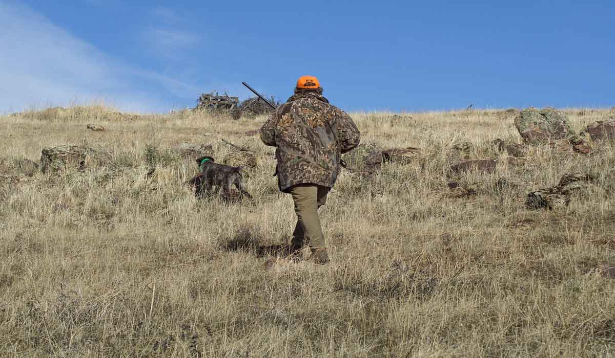 Après l’incendie dans l’Aude : stop à la chasse… pour les animaux !