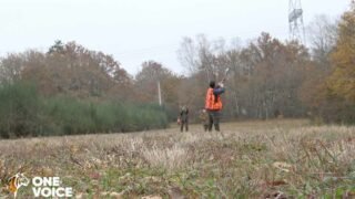 Des morts, des morts et encore des morts : le bilan dramatique de la chasse en France