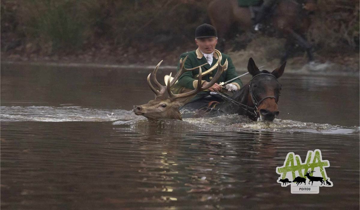 Chasse à courre : une cruauté indigne de l’Humanité Chasse à courre : une cruauté indigne de l’Humanité