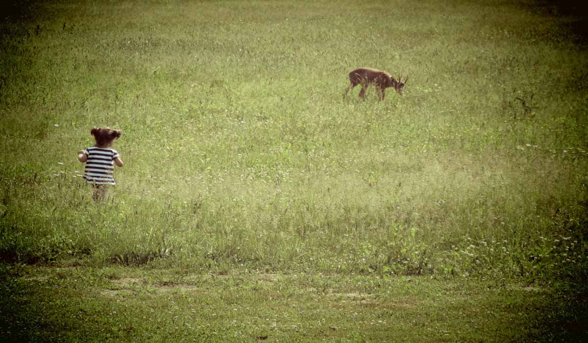 Louvetiers et chasseurs au Sénat – Pesticides, eau, faune sauvage, les intérêts particuliers nuisent à l’intérêt général et les sénateurs ?