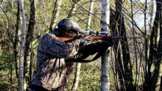 Chasse autorisée autour des habitations dans la Vienne