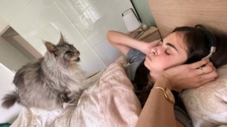 Itinéraire d’un chat qui miaule (et d’un propriétaire qui n’en peut plus)