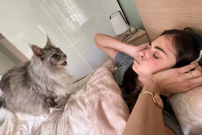 Itinéraire d’un chat qui miaule (et d’un propriétaire qui n’en peut plus)