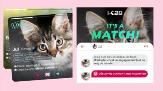 Offrir un animal à Noël ? La majorité des Français désapprouvent et c’est une bonne nouvelle !