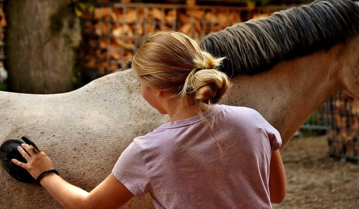 Pour 83% des Français le cheval occupe la même place affective qu’un chien ou un chat selon une étude Kantar/Veternity