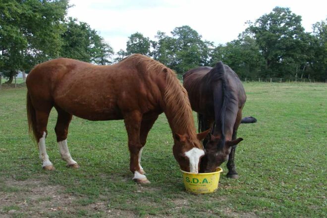 Œuvre de Pech Petit – Josette et Jean Boon : présentation de son action, de son histoire                                                                   