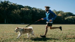 PlayDogs lance le premier suivi d’activité dédié aux chiens !