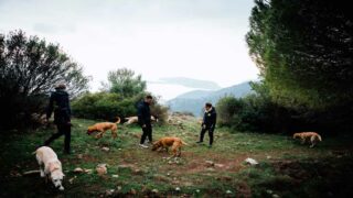 Le 29 septembre 2024 dans toute la France : une journée à la découverte de l’univers des chiens guides d’aveugles