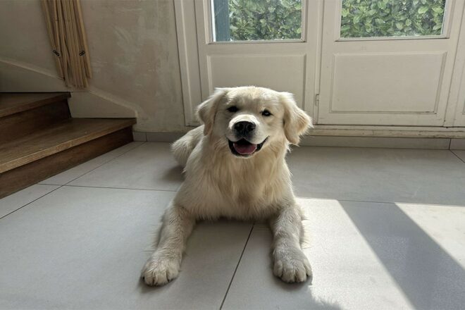 Élodie : une passionnée dévouée au bien-être animal