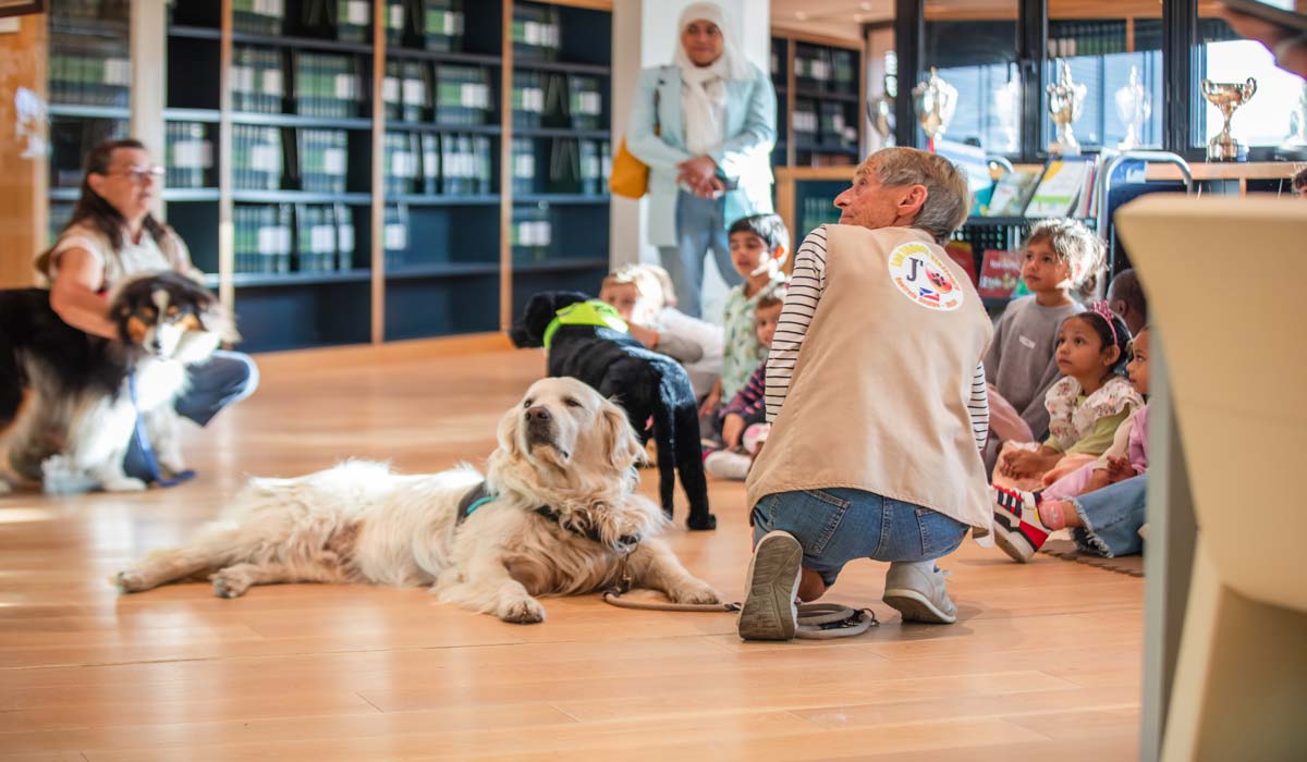 Lancement de la 3e édition de la semaine nationale du chien – Le chien et l’enfant : un lien unique