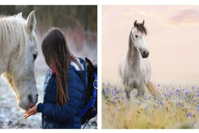 Grandir libre et vivre en harmonie