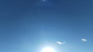 Jane Goodall et Louis Schweitzer deux volontés au service de la cause animale