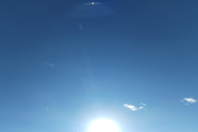 Jane Goodall et Louis Schweitzer deux volontés au service de la cause animale