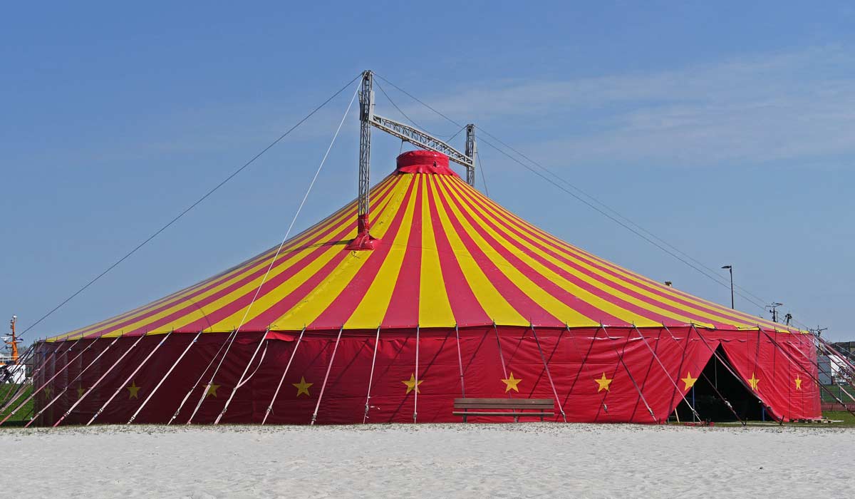 Une femme agressée par le cirque Muller à Anglet : quand s’arrêtera l’impunité ? Une femme agressée par le cirque Muller à Anglet : quand s’arrêtera l’impunité ?