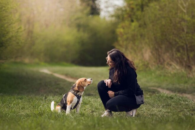 Accompagner l’humain pour aider le chien