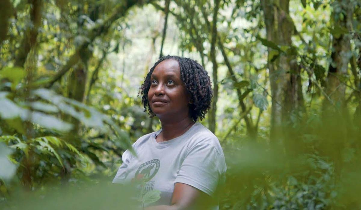 La docteur qui sauvait les gorilles des montagnes dans la “forêt impénétrable” d’Ouganda