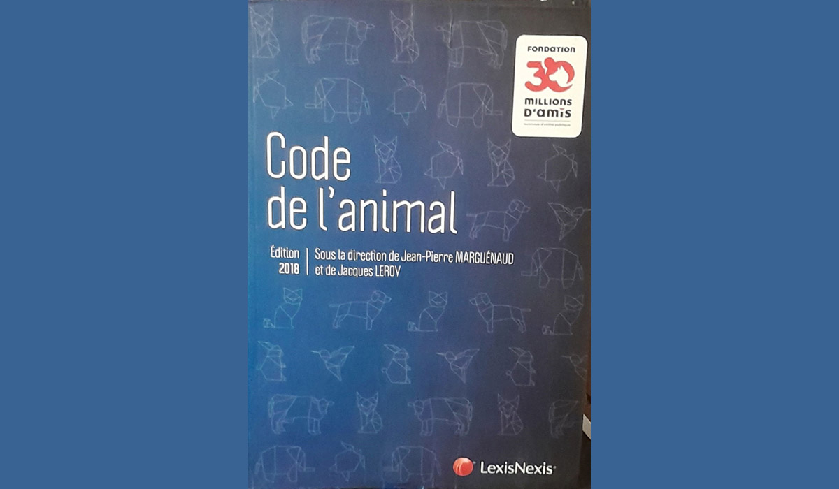 Respect de l’animal : un devoir de civilisation et d’éducation