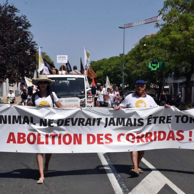 Abolition des corridas ! ⋆ Savoir Animal