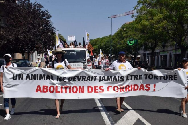 « Un animal ne devrait jamais être torturé » : à Béziers, le COLBAC lutte contre les corridas