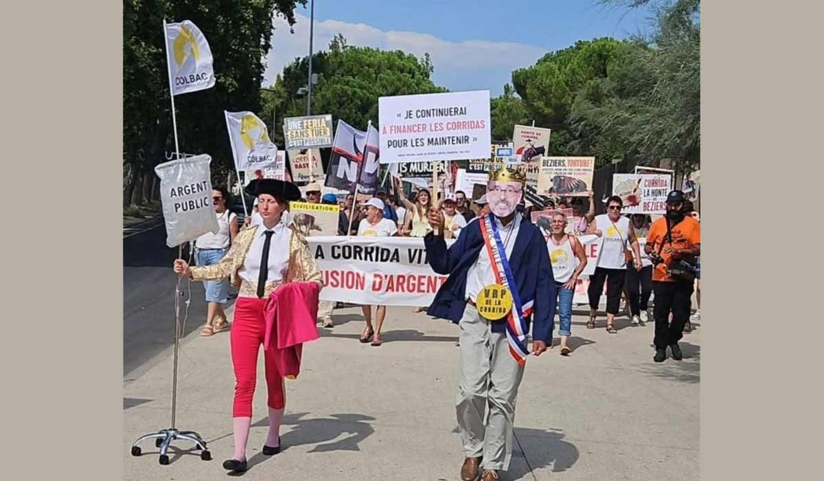 Féria 2026 : Robert Ménard souhaite faire de la corrida un marqueur de l’identité biterroise, les faits racontent une autre histoire Féria 2026 : Robert Ménard souhaite faire de la corrida un marqueur de l’identité biterroise, les faits racontent une autre histoire