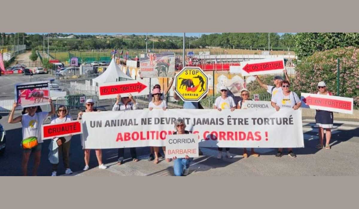 Corridas à Boujan : le COLBAC manifeste aujourd’hui devant les arènes Corridas à Boujan : le COLBAC manifeste aujourd’hui devant les arènes
