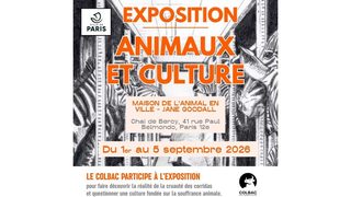 Animaux et culture : à Paris, le COLBAC expose la réalité de la corrida