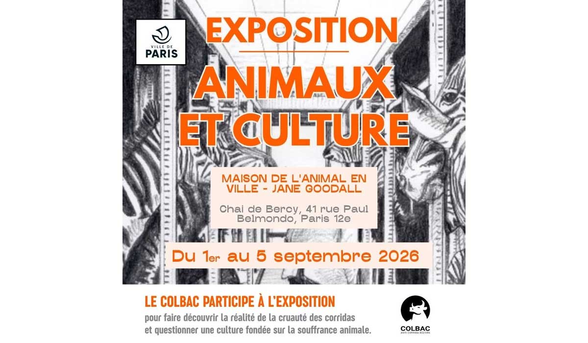 Animaux et culture : à Paris, le COLBAC expose la réalité de la corrida Animaux et culture : à Paris, le COLBAC expose la réalité de la corrida