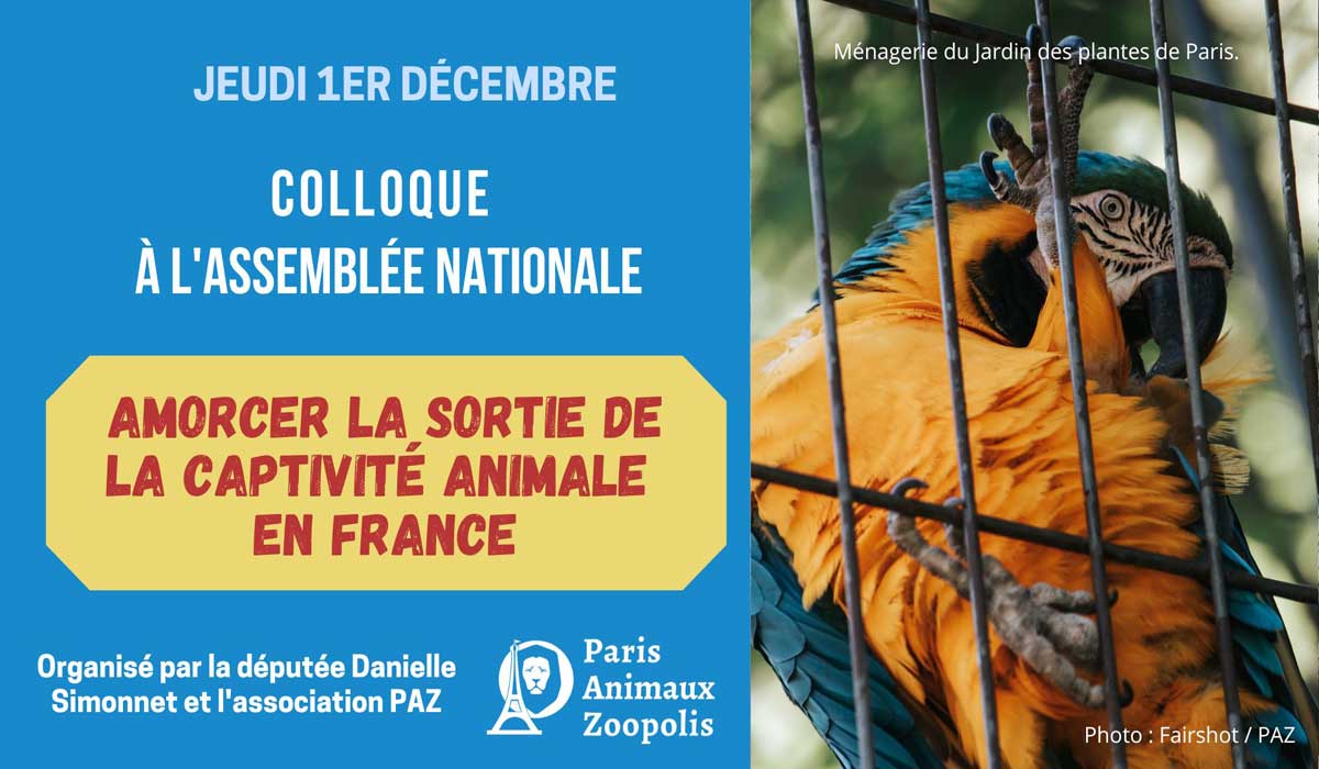 Colloque à l’Assemblée nationale le 1<sup>er</sup> décembre : amorcer la sortie de la captivité animale en France