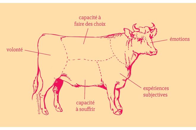 Je te connais donc je te tue