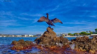 Présentation de l’association TOTEM