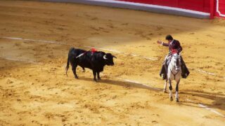 L’estocade finale pour la corrida ?