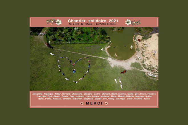 Le chantier animalier solidaire, une formidable aventure