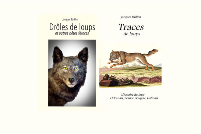 Ce que nous enseigne l’histoire du loup…
