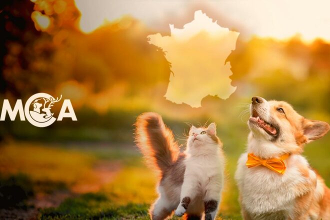 Mobilisation pour la Cause Animale offre un nouveau moyen de vous mobiliser autour de chez vous !