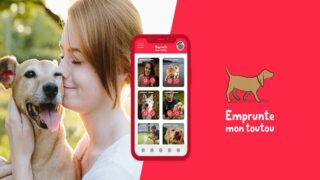 Départ en vacances d’hiver avec ou sans son chien ?