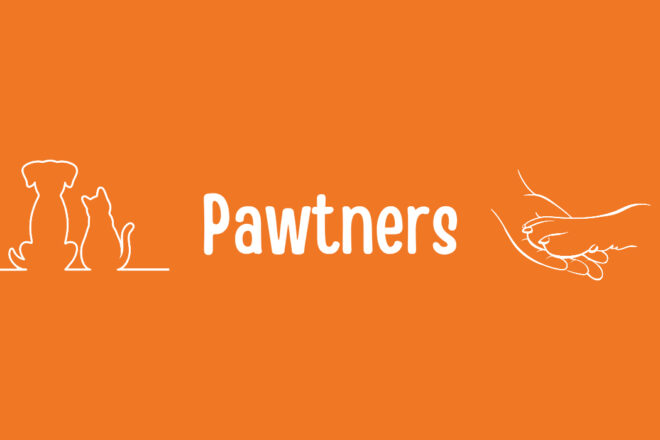 Pawtners : une jeune association au grand cœur pour les animaux en détresse