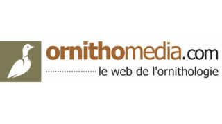 Ornithomedia.com