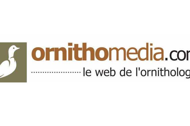 Ornithomedia.com
